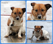 Be-Funky-collage-26.jpg&key=f71f00f8b2cc