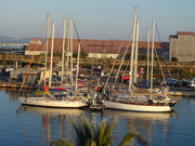 DSC04073.jpg