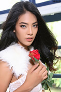 Arya-41-026