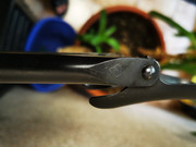 248541038_1022293618339764_6926840391071139380_n