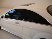 DSC00141.jpg