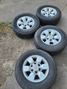 355198948_3552525054967822_5611176891834356985_n