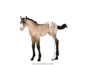 E4117769-1587-4905-B58B-435AC9C69683