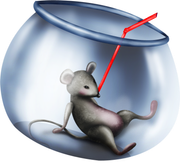 Christmasswishoffairydnfishbowl