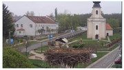 Kép