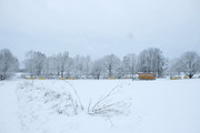 [Obrázky: DSCF0716.jpg]