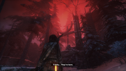 Rise-of-the-Tomb-Raider-Screenshot-2022-09-27-21-46-23-54