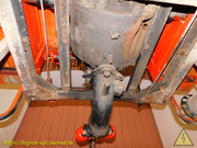 DSCN5537