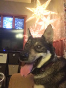 D411F7E0-D5CB-4220-B6D8-8AA59CF90540