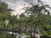 IMG-3427