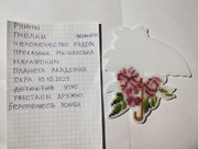 https://i.postimg.cc/mhTmXbTN/image.jpg