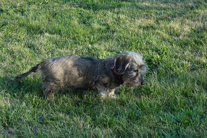 [Image: DSC00447.jpg]