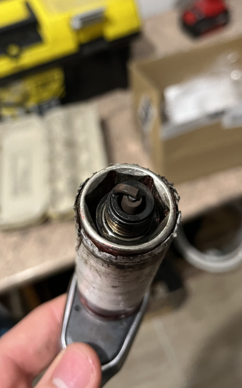 B8409AC6-6895-4824-8265-2587E3C90ECD