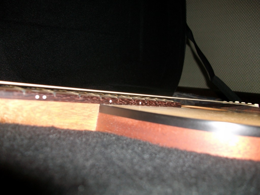 IMGP1628
