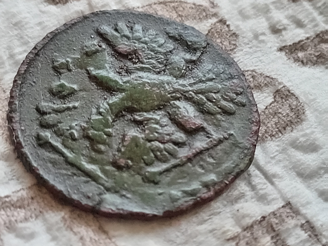 IMG_20240417_174126 (1)