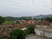 IMG_20201003_095302_1