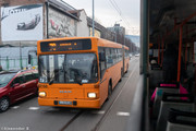 IMG-5169