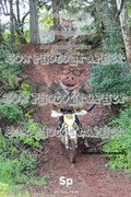 IMG-0480