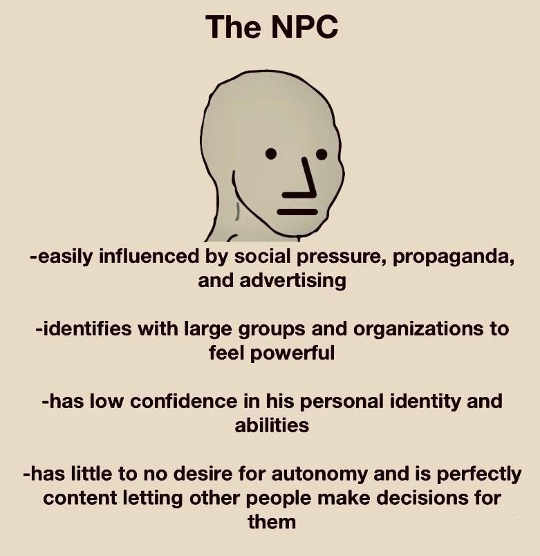 lesson-npc-easily-influenced-social-pressure-proganda-no-autonomy.jpg