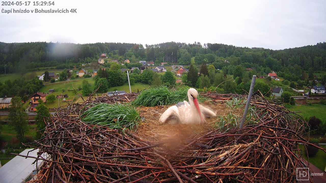 Živě z čapího komína firmy KARA v Bohuslavicích u Trutnova 5-2-23 screenshot