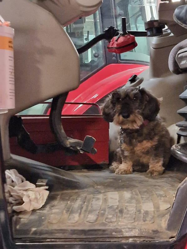 [Image: IMG-20240206-WA0001.jpg]