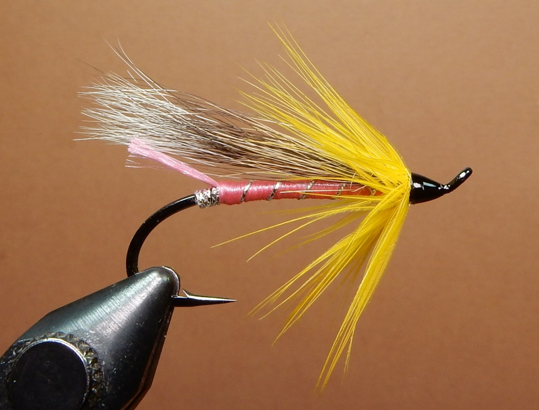 Cosseboom-Pink-1080.jpg Cosseboom-Pink-1080.jpg