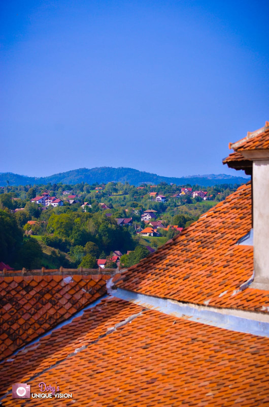 Whats-App-Image-2020-11-04-at-17-27-04.j