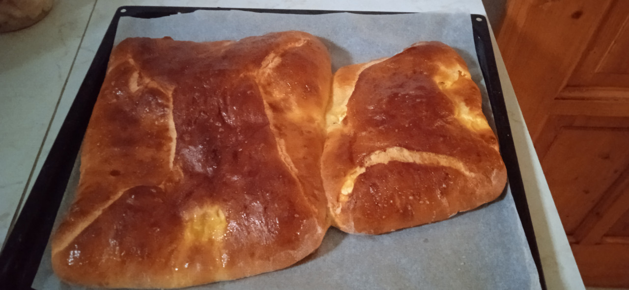 IMG_20230117_130800[1]