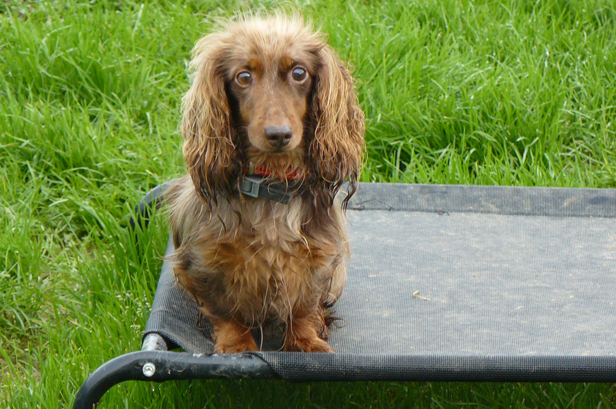 [Image: P1240460.jpg]