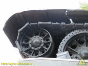 IMG-8774