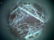 23207 177210 Into CNS 000003