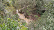15-08032025