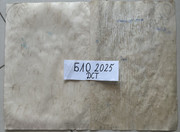 Гербарий процесс 2