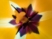 IMG-20190412-125251
