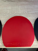 WhatsApp Image 2024-01-19 at 18.35.43 (7)