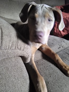 IMG_20220701_183223396