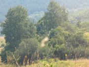 ADP System - Zelezniza 2009 (36)