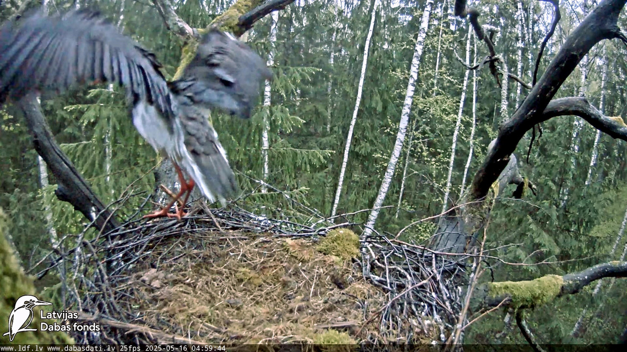 vlcsnap-2025-05-16-06h46m23s064