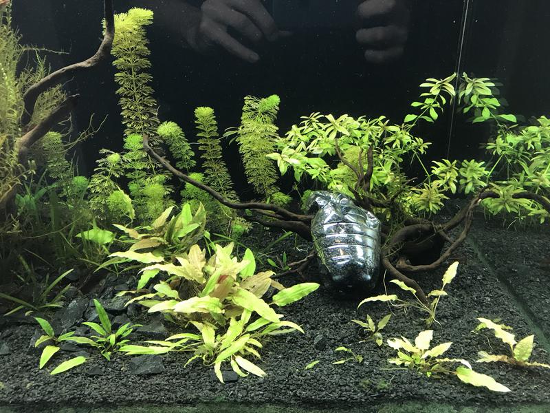 CB34E6B5-85D6-4DCF-A5AF-15D873932706