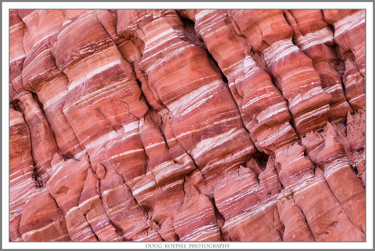 Ed1600WardTerra 4-9-18_0803