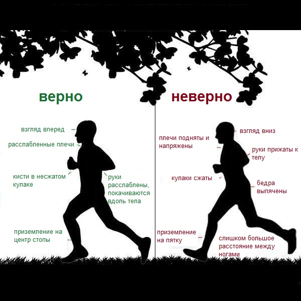 Как верно бежать чтоб похудеть, дышать при беге, техника бега Как верно бежать чтоб похудеть, дышать при беге, техника бега
