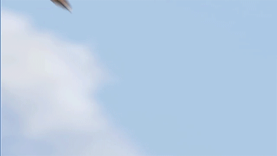 11a7aa33a1c4ac228e11e39b7d77731112189218.gif