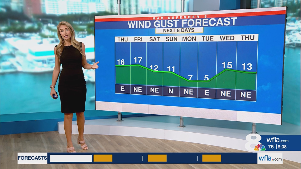 NewsChannel 8 Today at 6a_20251009_11001200.ts_snapshot_00.09.39.519