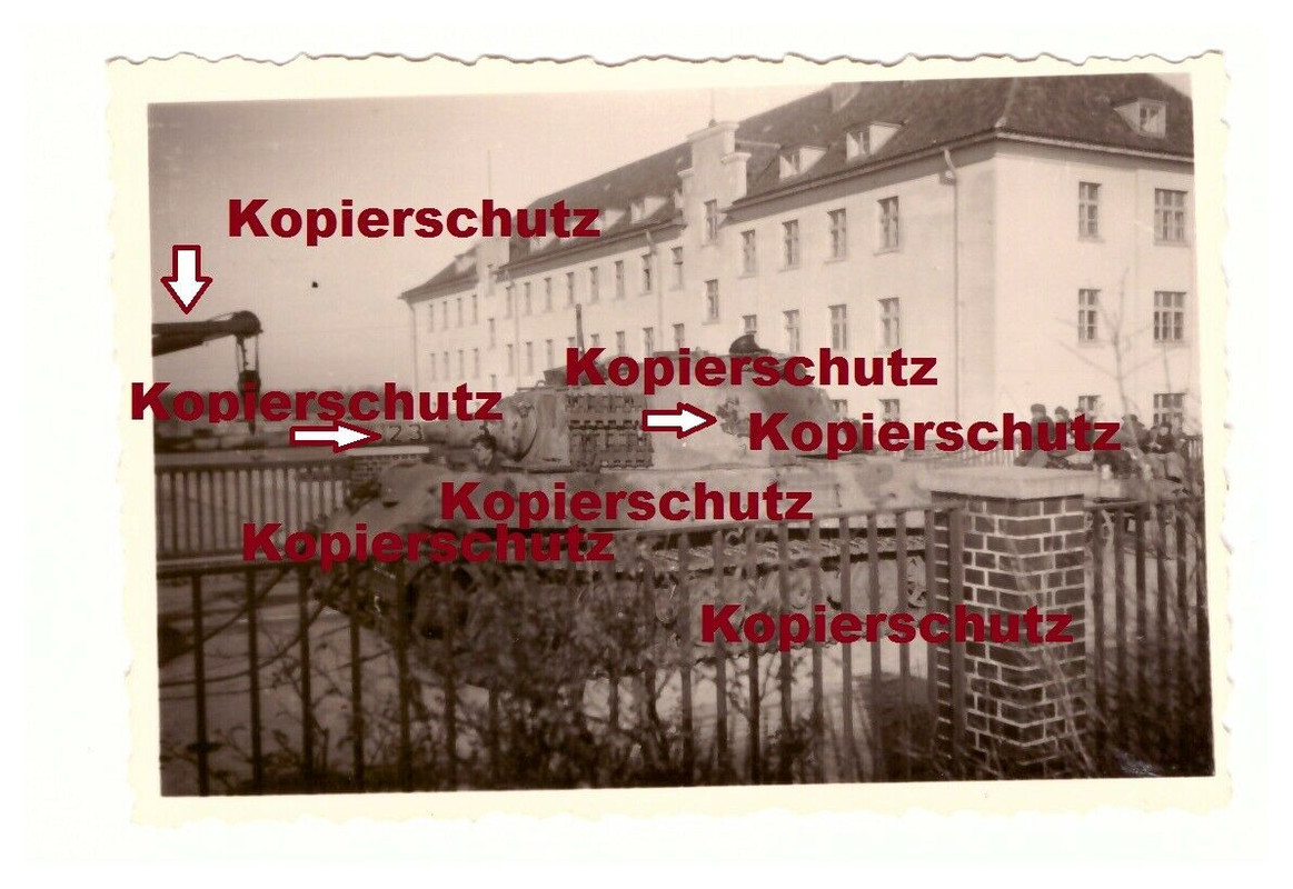 Foto Tiger 2 Panzer 505 schwere Panzer Abteilung 1944 Ostpreußen