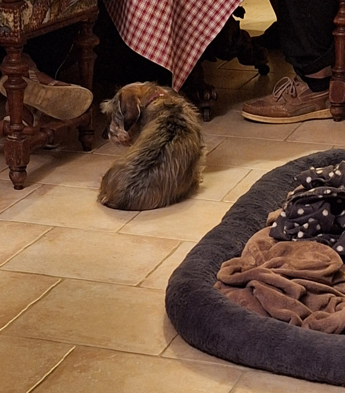 [Image: 20240627-223443.jpg]