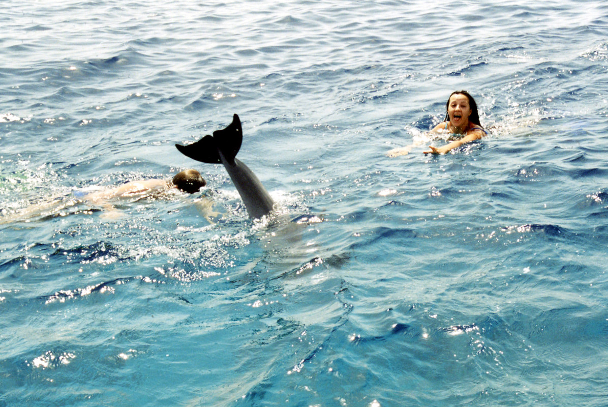 МАКСИМ ПЛАЗА ЦИФ?А (13)