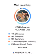 CleanShot 2024-03-08 at 12.00.19