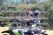 IMG-3067
