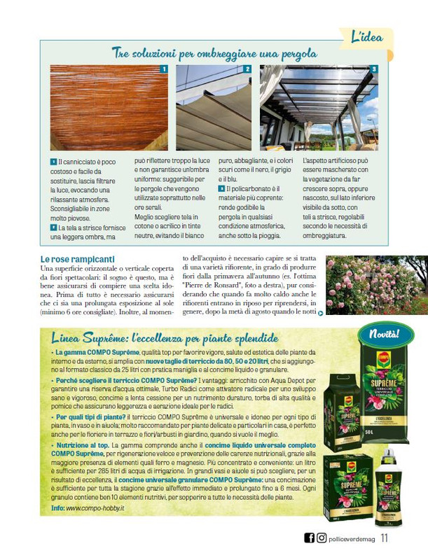 Pol Ver Mag 2026 (8)