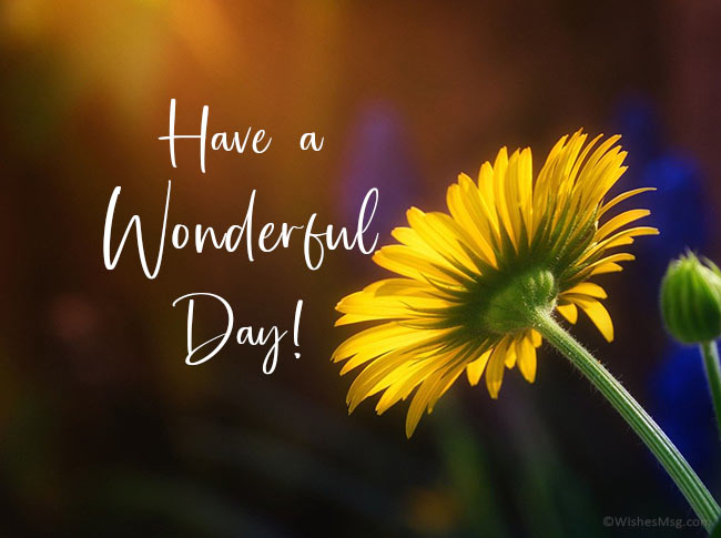 have-a-wonderful-day
